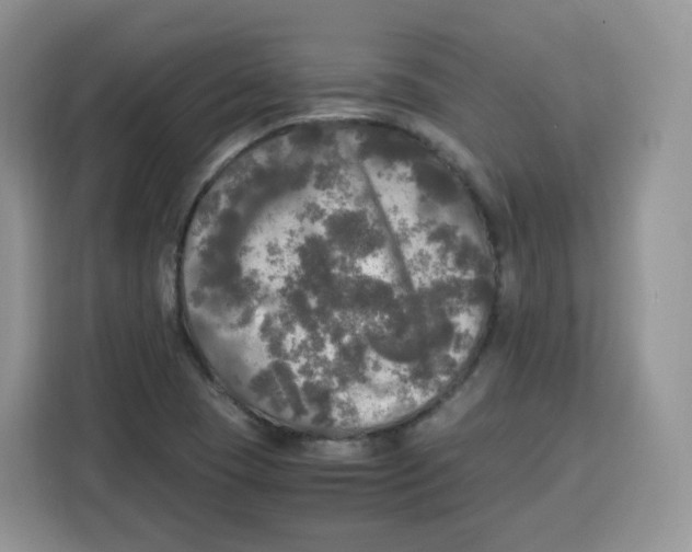 X0000115101409200911241224