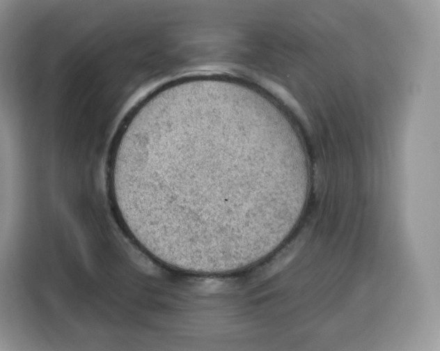 X0000115101412200911241224