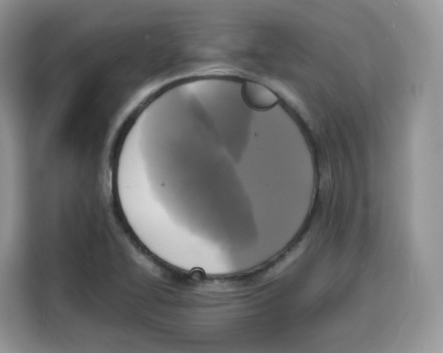 X0000115101414200911241224