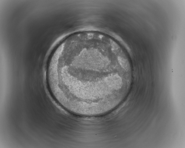 X0000115101416200911241224