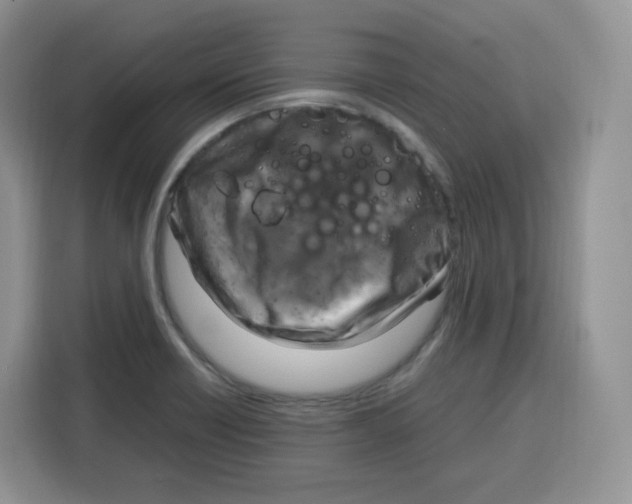 X0000115101418200911241224