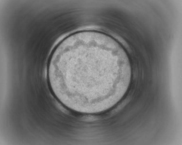 X0000115101420200911241224