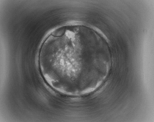 X0000115101421200911241224