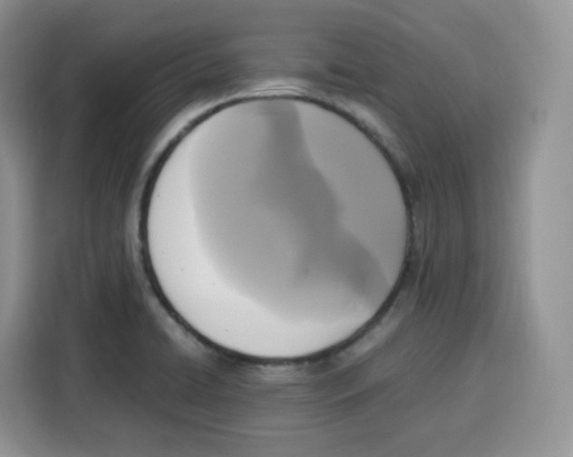 X0000115101422200911241224