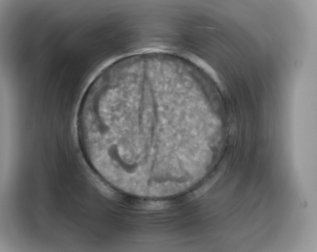 X0000115101423200911241224