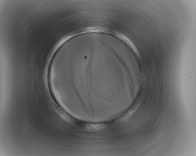 X0000115101427200911241224