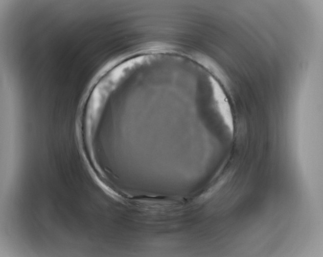 X0000115101429200911241225