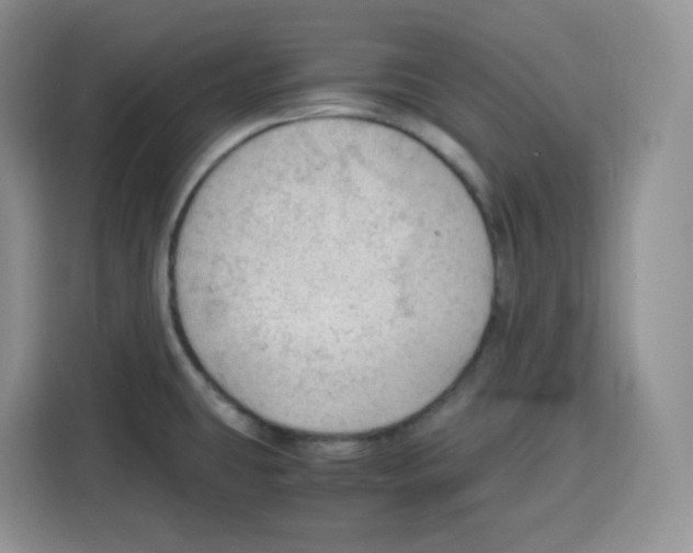 X0000115101431200911241225