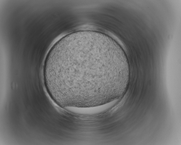 X0000115101434200911241225