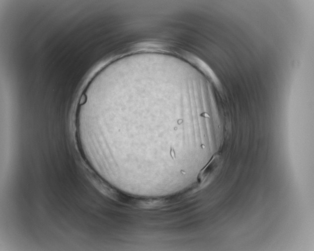 X0000115101435200911241225