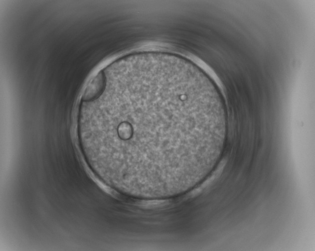 X0000115101437200911241225