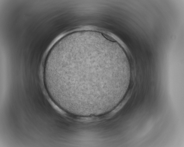 X0000115101438200911241225