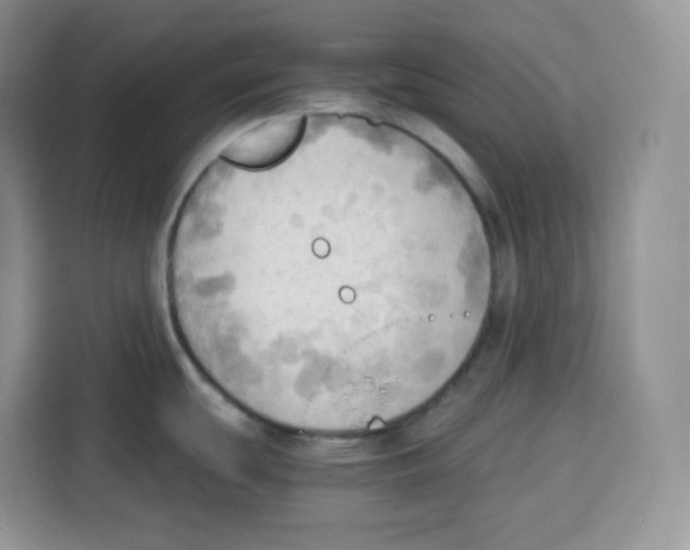 X0000115101439200911241225