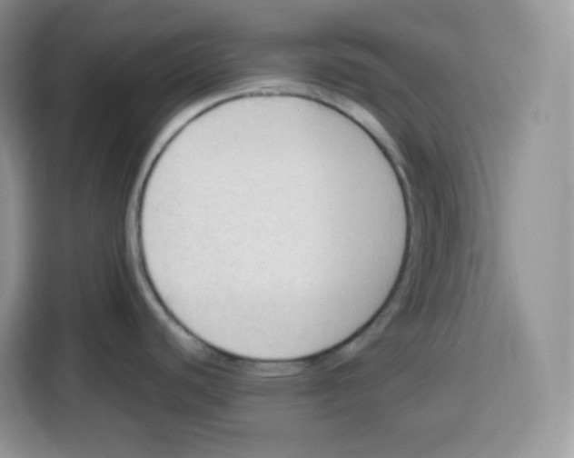 X0000115101440200911241225