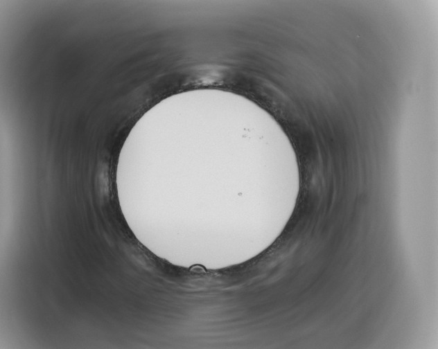 X0000115101442200911241224