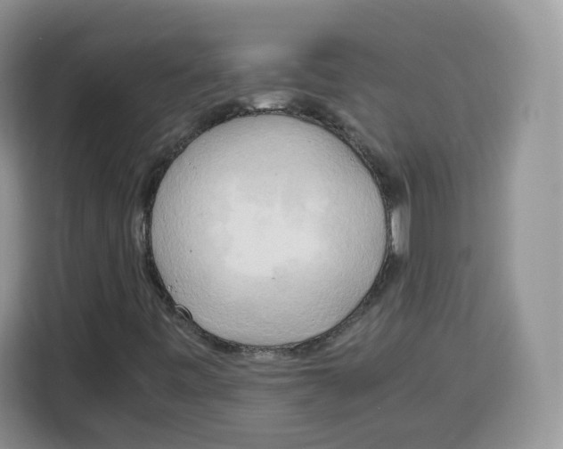 X0000115101443200911241224