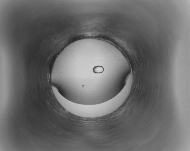 X0000115101444200911241224