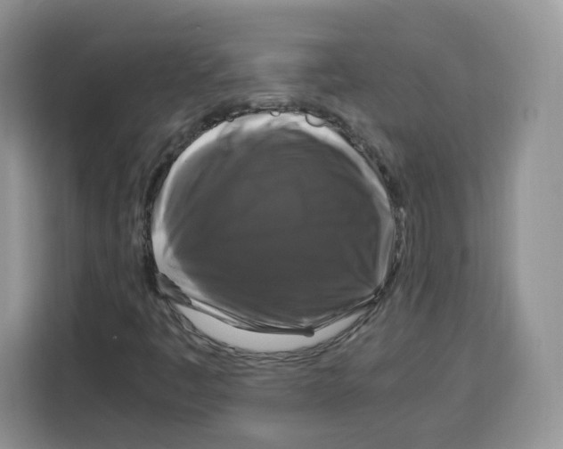 X0000115101445200911241224