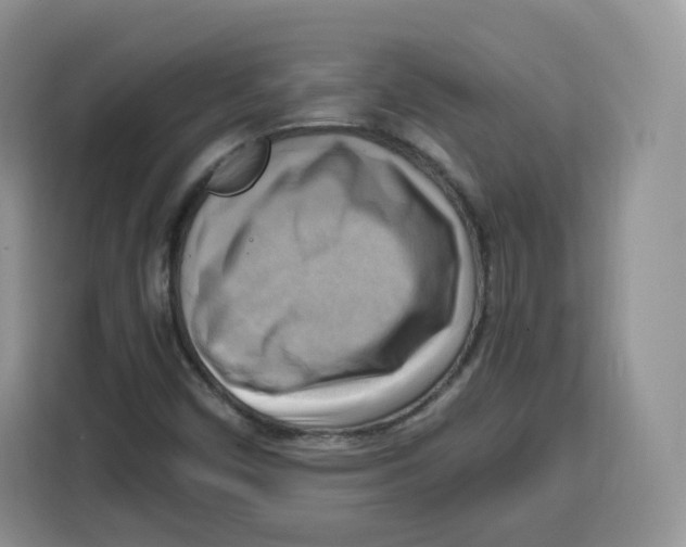 X0000115101450200911241224