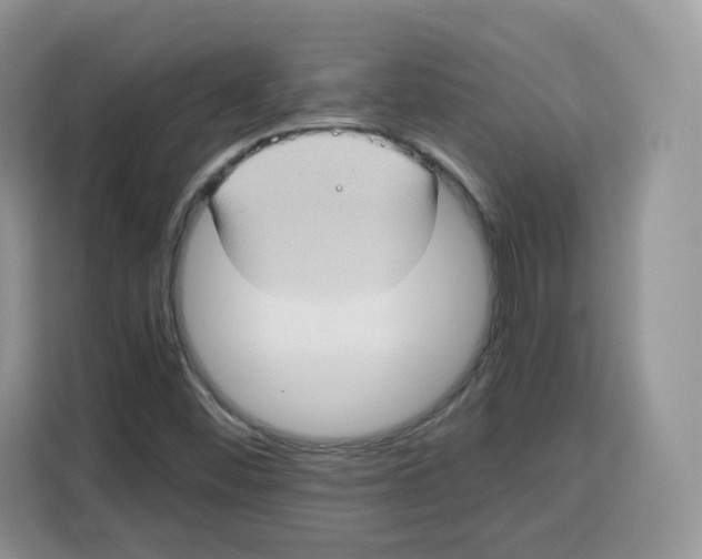 X0000115101452200911241224