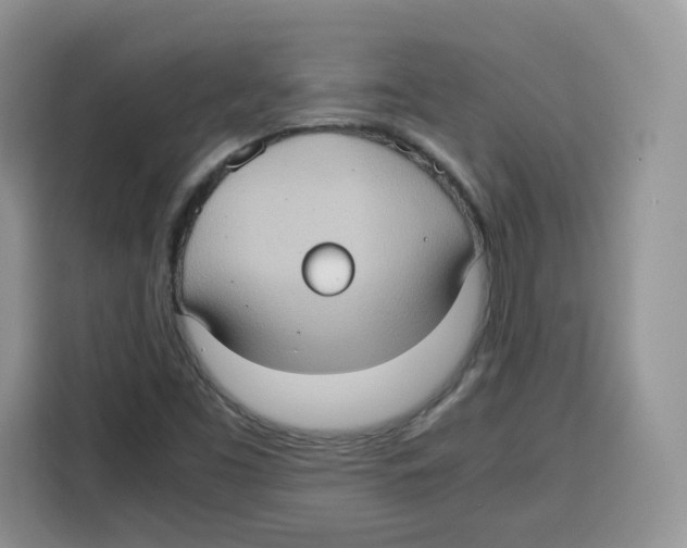 X0000115101453200911241224