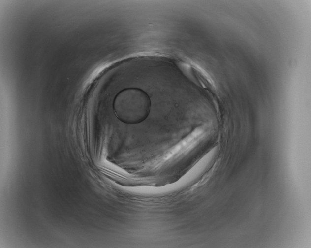 X0000115101455200911241224