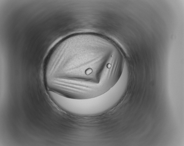 X0000115101460200911241224