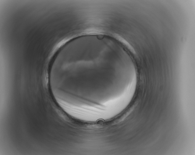 X0000115101461200911241224