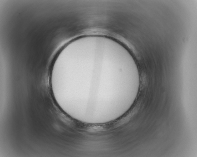 X0000115101462200911241224