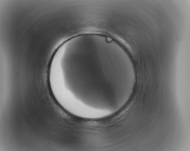 X0000115101463200911241224