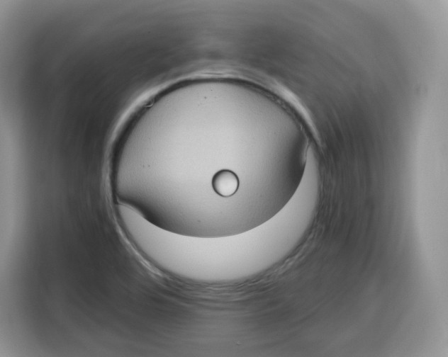 X0000115101464200911241224