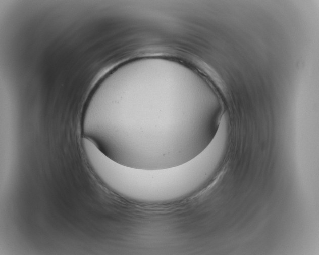 X0000115101465200911241224