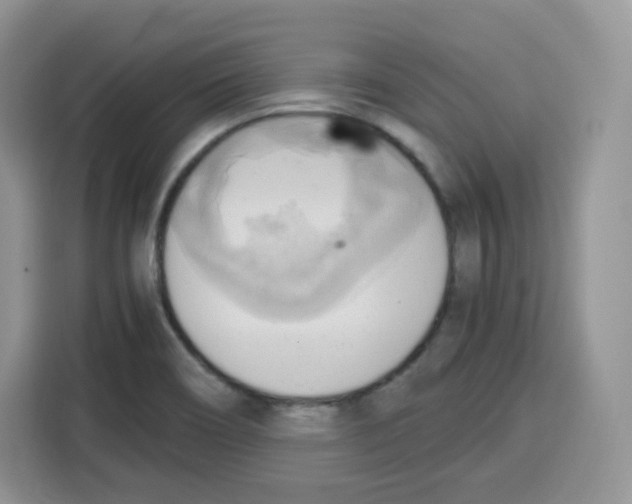 X0000115101466200911241224