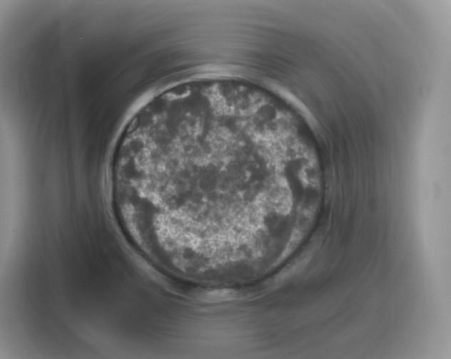 X0000115101467200911241224