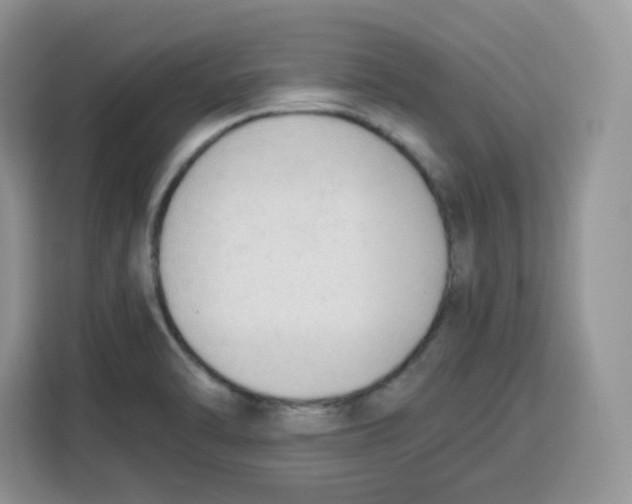 X0000115101470200911241224