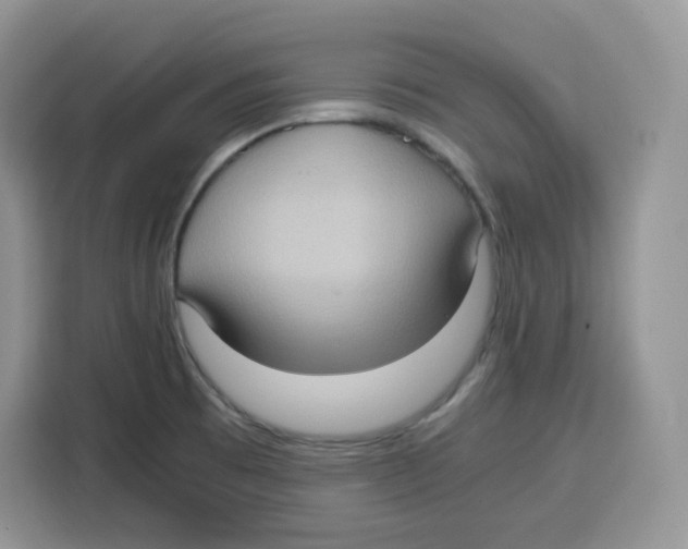 X0000115101473200911241224