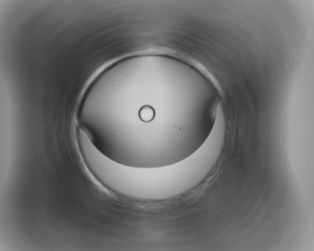 X0000115101476200911241224