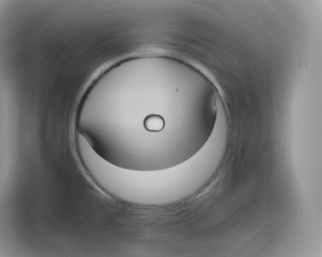 X0000115101477200911241224