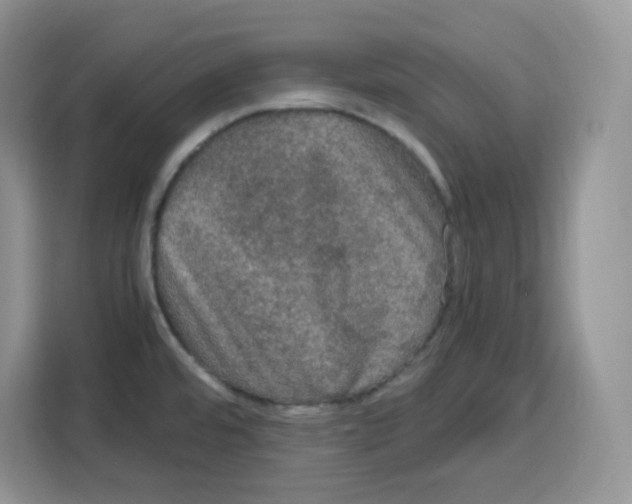 X0000115101480200911241224