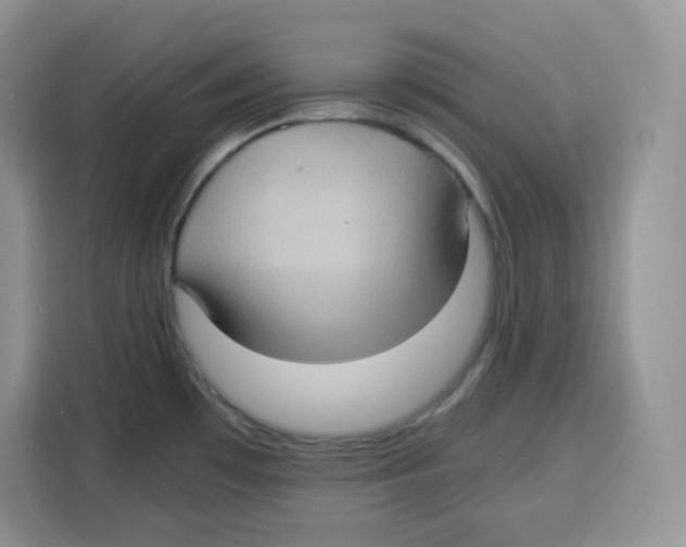 X0000115101481200911241224