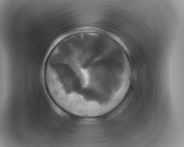 X0000115101482200911241223