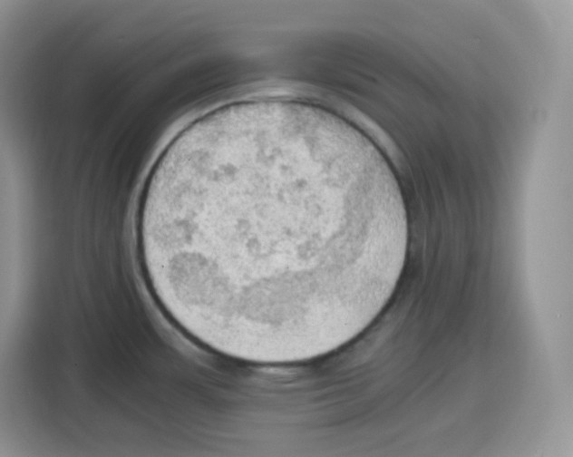 X0000115101483200911241223