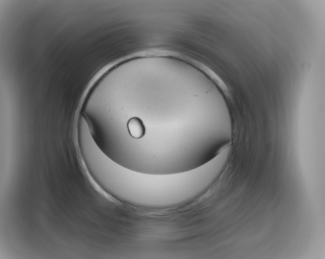 X0000115101484200911241223