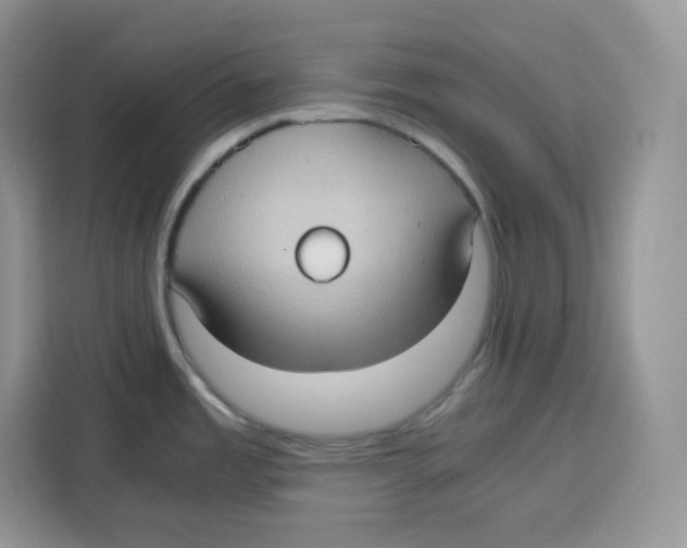 X0000115101485200911241223