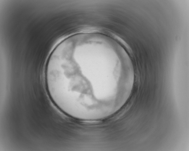 X0000115101487200911241223