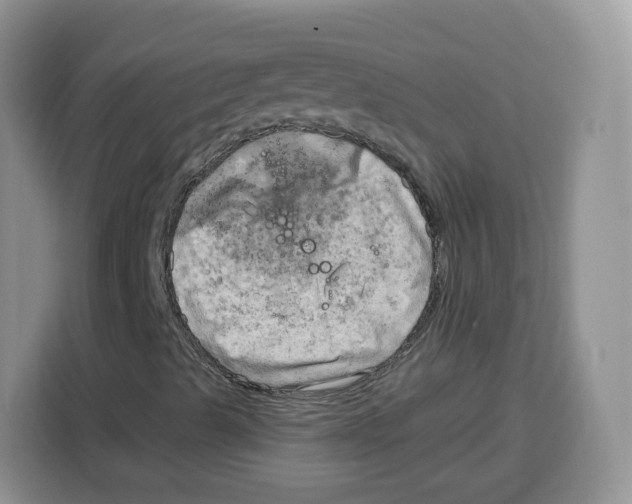 X0000115101489200911241223