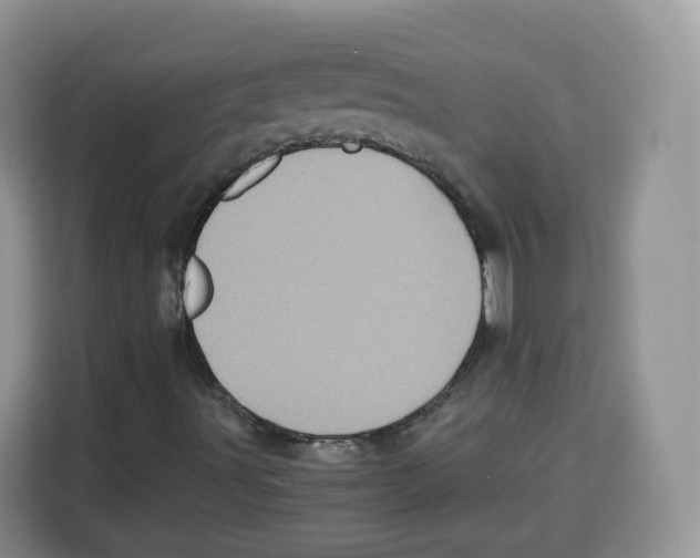 X0000115101491200911241223