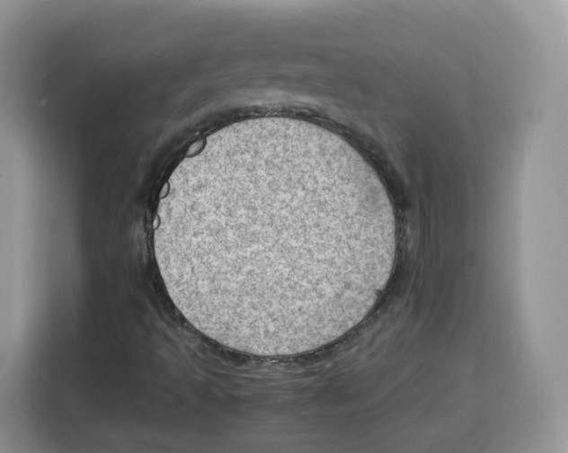 X0000115101493200911241223