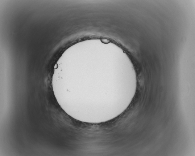 X0000115101495200911241223