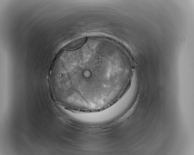 X0000115101497200911241223